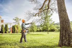 How Our Tree Care Process Works  in  Gallatin, TN